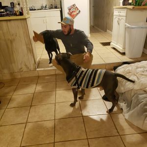 Meet your Posher, Cody